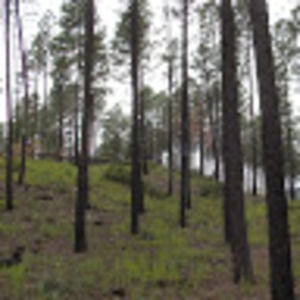 Meet your Posher, Ramon